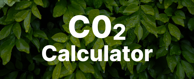 How to Build a Carbon Tracking  Calculator: Features, Development Time, and Costs
