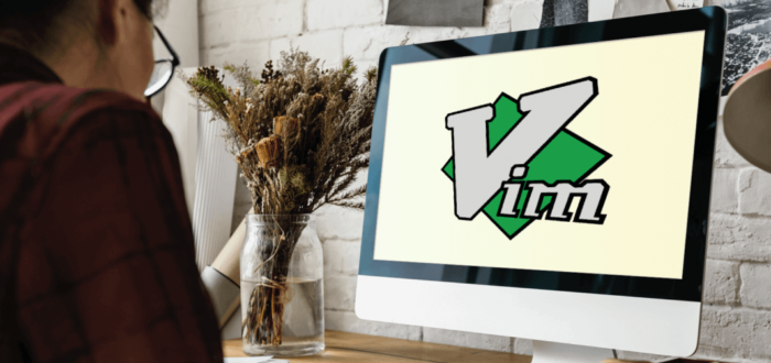 Why You Need to Use Vim?