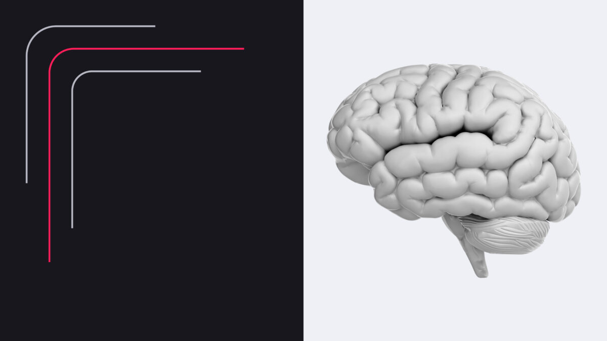 Was ist Intelligenz wirklich? Ein Vergleich zwischen Menschen, Tieren und Maschinen