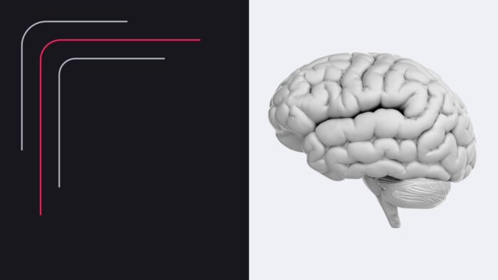Was ist Intelligenz wirklich? Ein Vergleich zwischen Menschen, Tieren und Maschinen