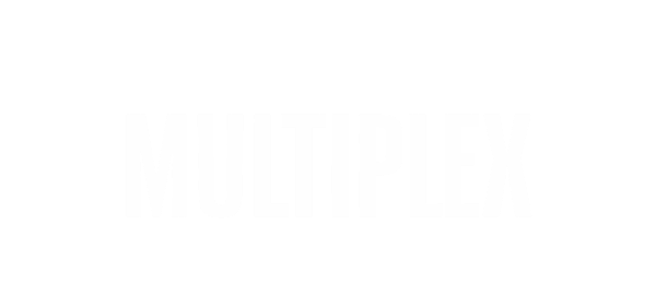Text logo saying MULTIPLEX in bold inside a curved rectangular border.
