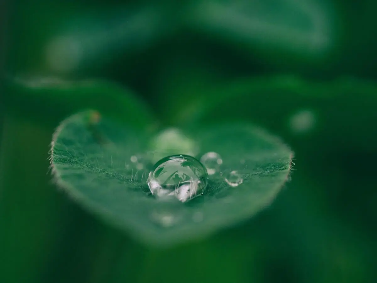 Top 10 Startups for Your Inspiration - photo 11