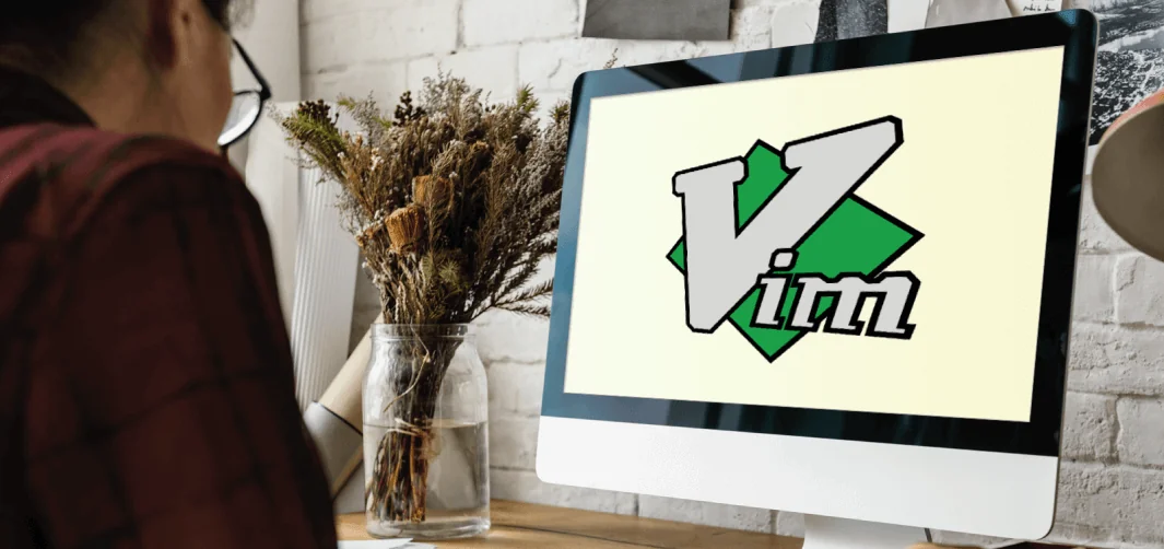 Why You Need to Use Vim?