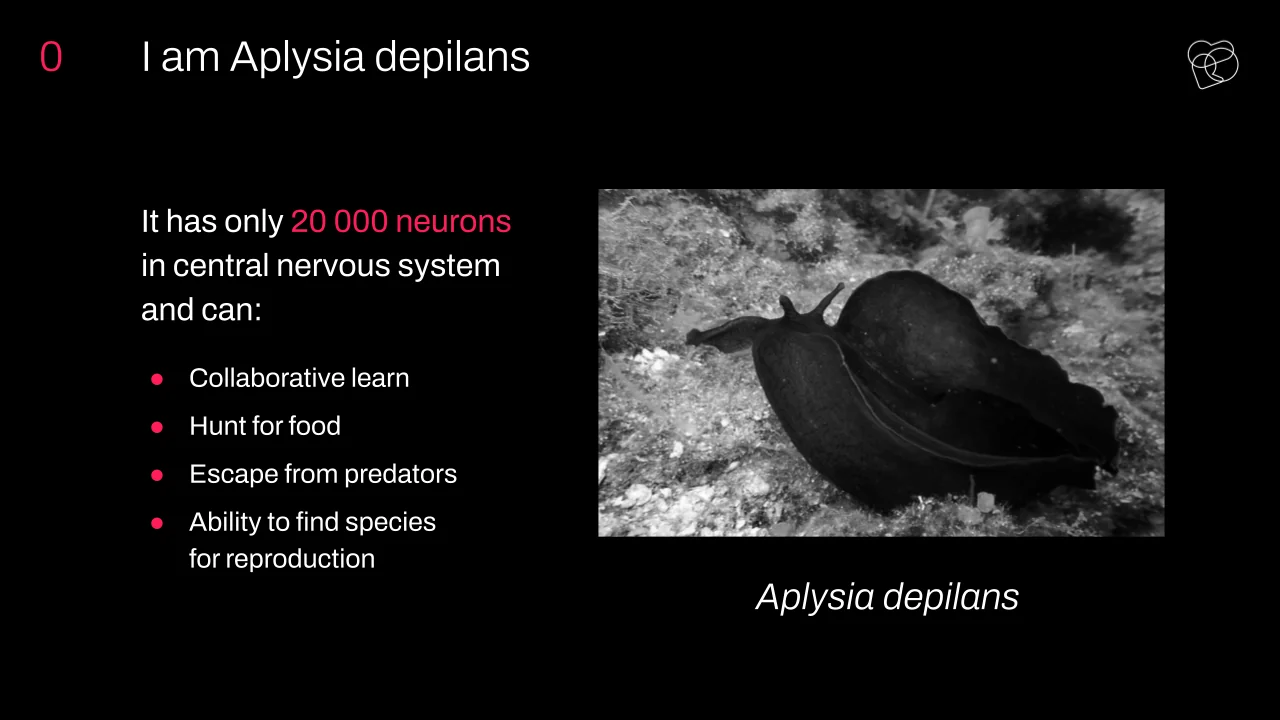 What Is Intelligence, Really? Humans, Animals, and Machines Compared - photo 6