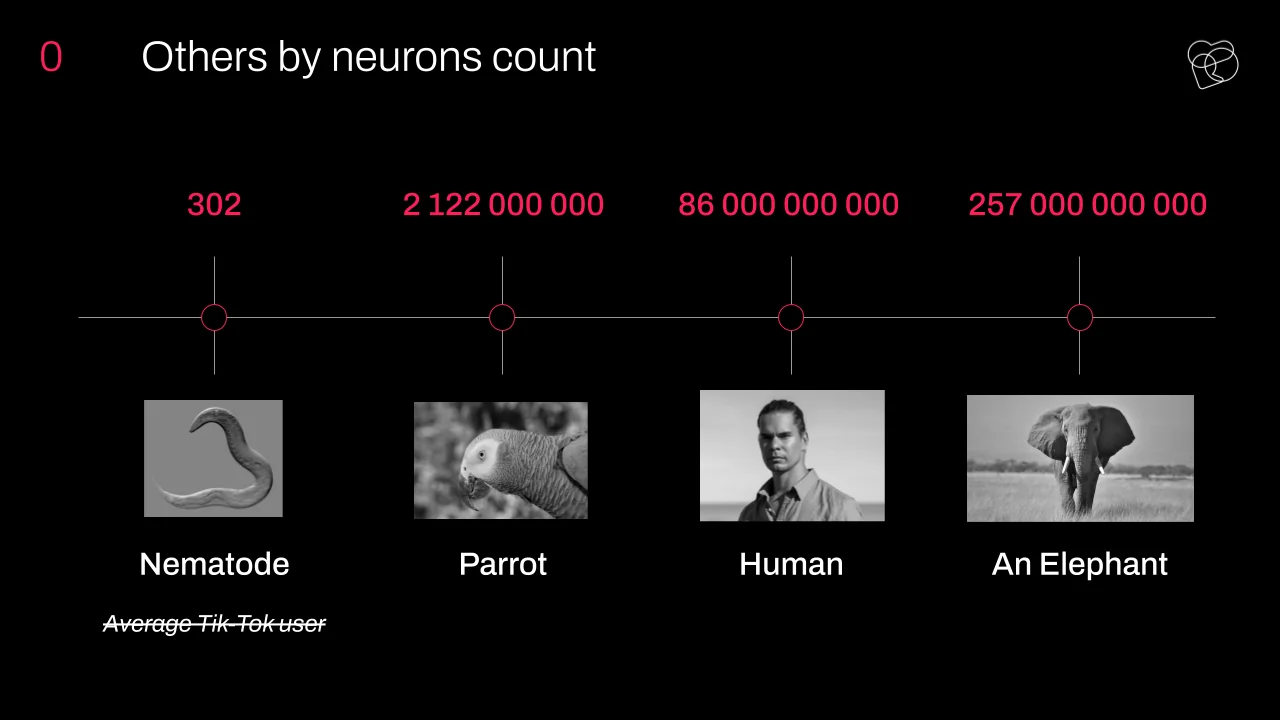 What Is Intelligence, Really? Humans, Animals, and Machines Compared - photo 7