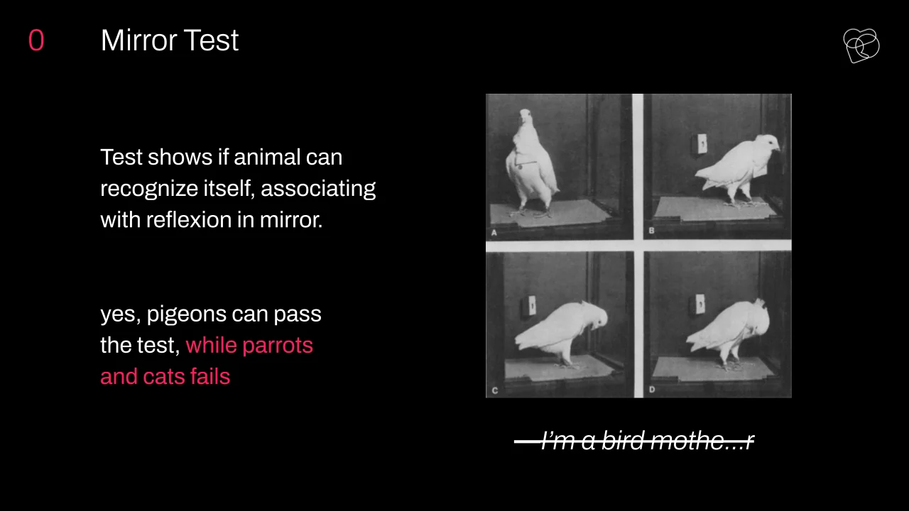 What Is Intelligence, Really? Humans, Animals, and Machines Compared - photo 8