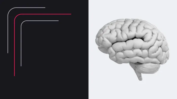 What Is Intelligence, Really? Humans, Animals, and Machines Compared