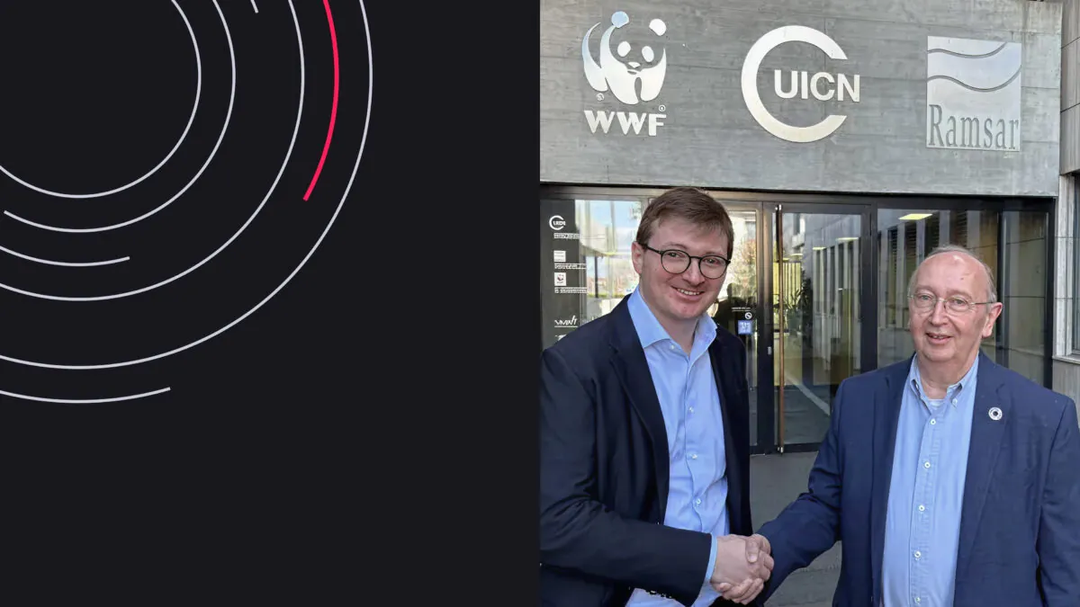 Tech4Nature: How Environmental NGOs Integrate AI into Nature Protection